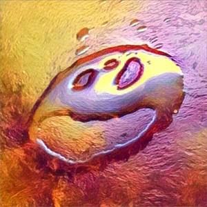 Meet your Posher, Travis